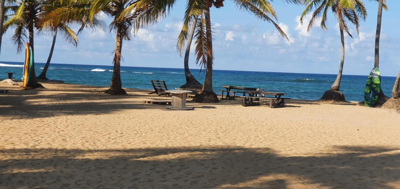 Puntacana Ecolodge Lavacama Beach Costa Arrecife By Aa Crypto Group Punta Cana Zewnętrze zdjęcie