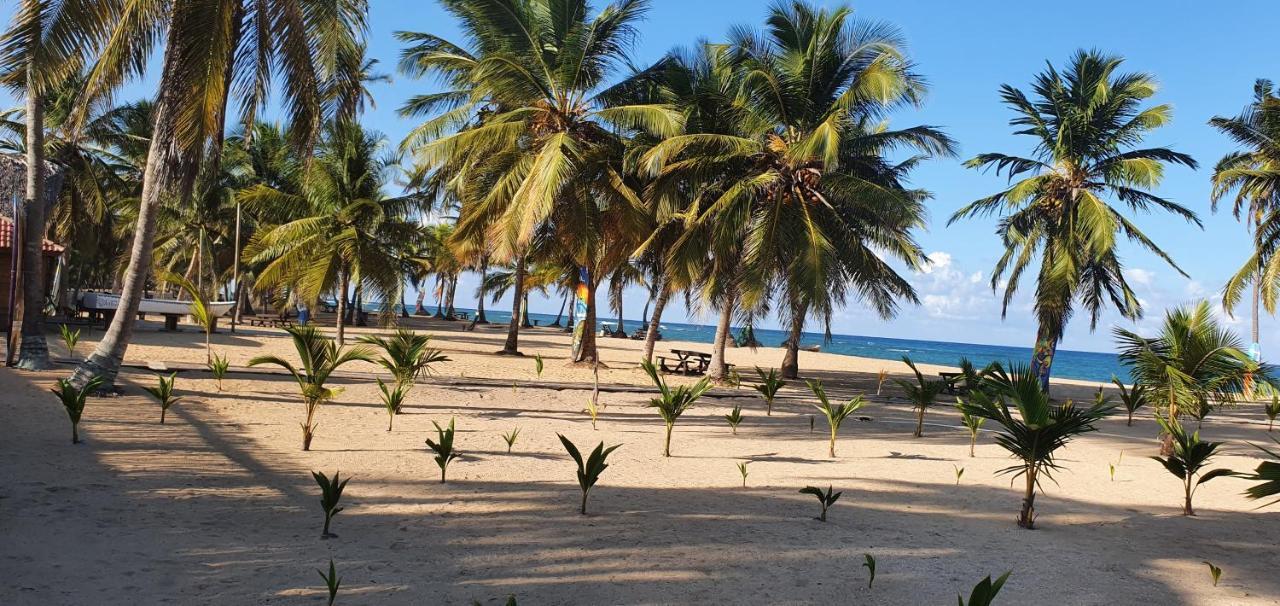 Puntacana Ecolodge Lavacama Beach Costa Arrecife By Aa Crypto Group Punta Cana Zewnętrze zdjęcie