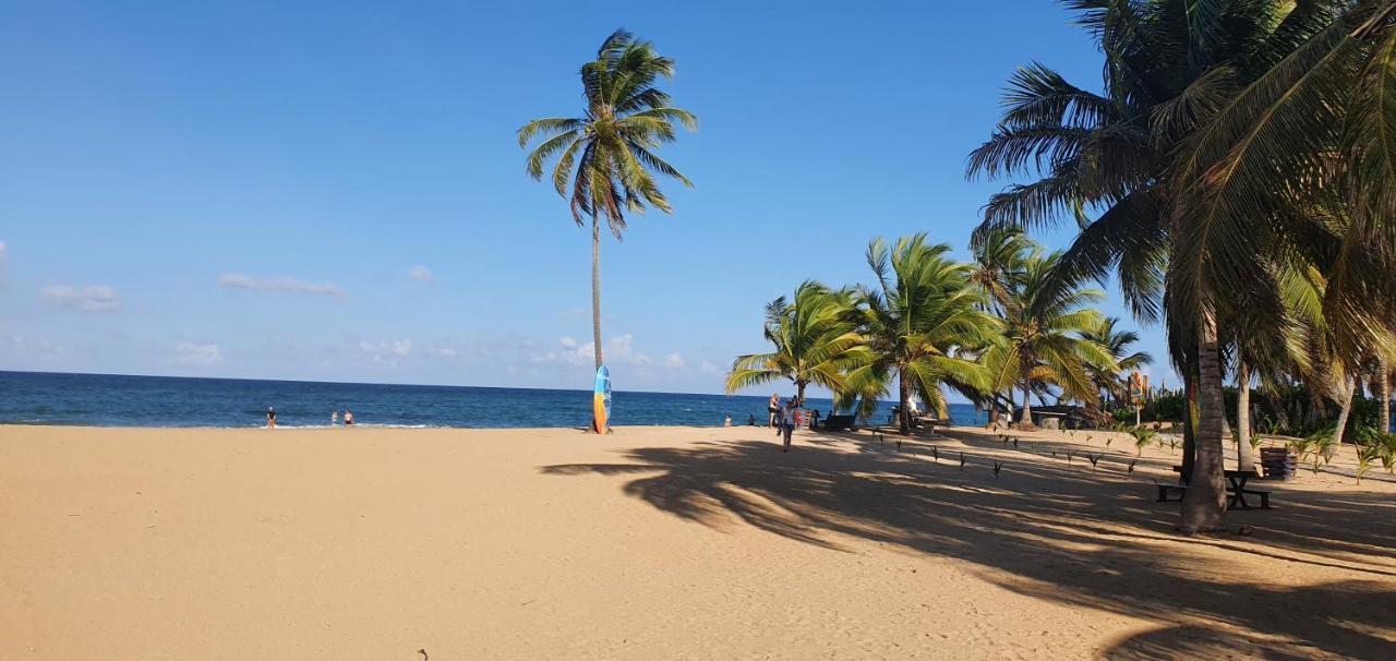 Puntacana Ecolodge Lavacama Beach Costa Arrecife By Aa Crypto Group Punta Cana Zewnętrze zdjęcie