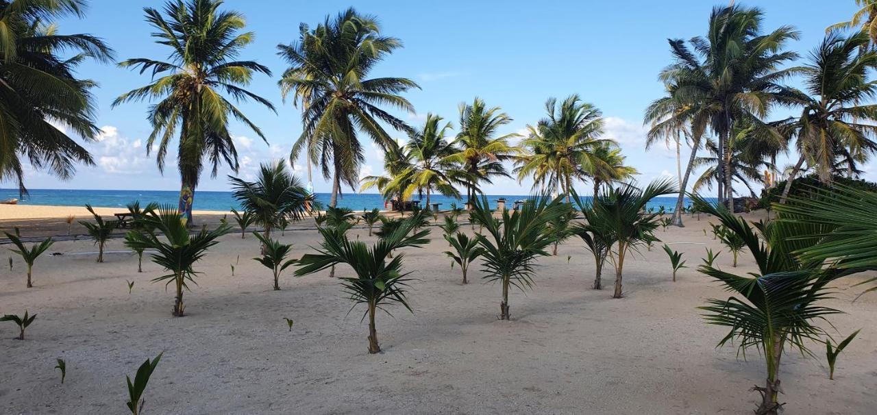 Puntacana Ecolodge Lavacama Beach Costa Arrecife By Aa Crypto Group Punta Cana Zewnętrze zdjęcie