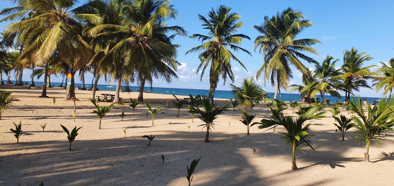 Puntacana Ecolodge Lavacama Beach Costa Arrecife By Aa Crypto Group Punta Cana Zewnętrze zdjęcie