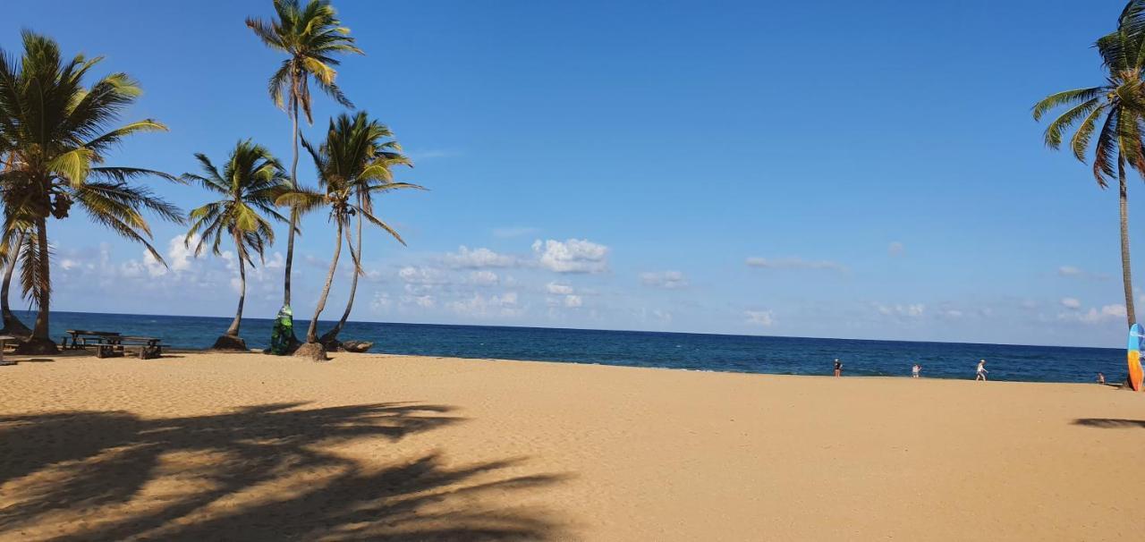 Puntacana Ecolodge Lavacama Beach Costa Arrecife By Aa Crypto Group Punta Cana Zewnętrze zdjęcie
