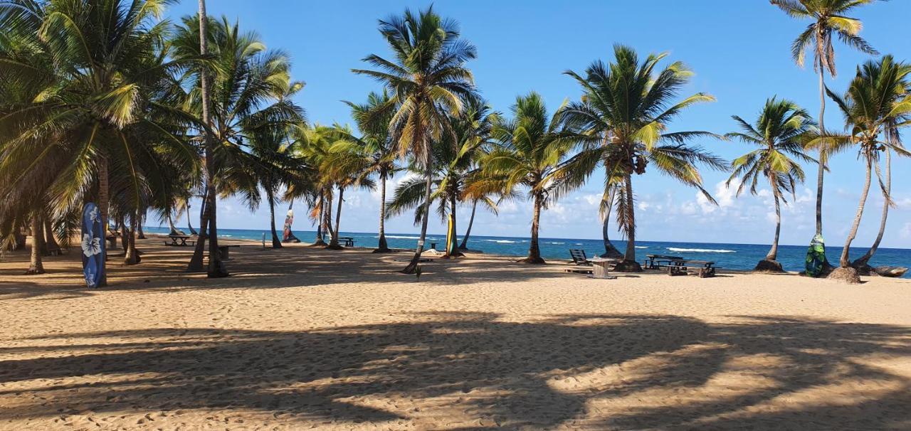 Puntacana Ecolodge Lavacama Beach Costa Arrecife By Aa Crypto Group Punta Cana Zewnętrze zdjęcie
