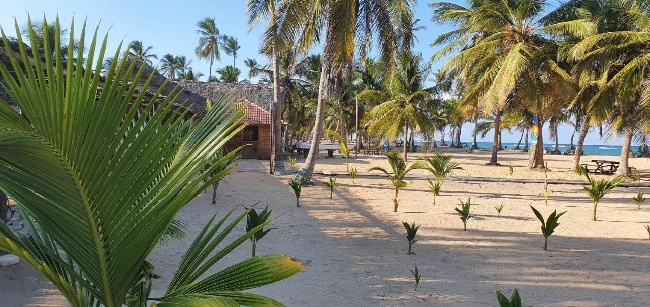 Puntacana Ecolodge Lavacama Beach Costa Arrecife By Aa Crypto Group Punta Cana Zewnętrze zdjęcie