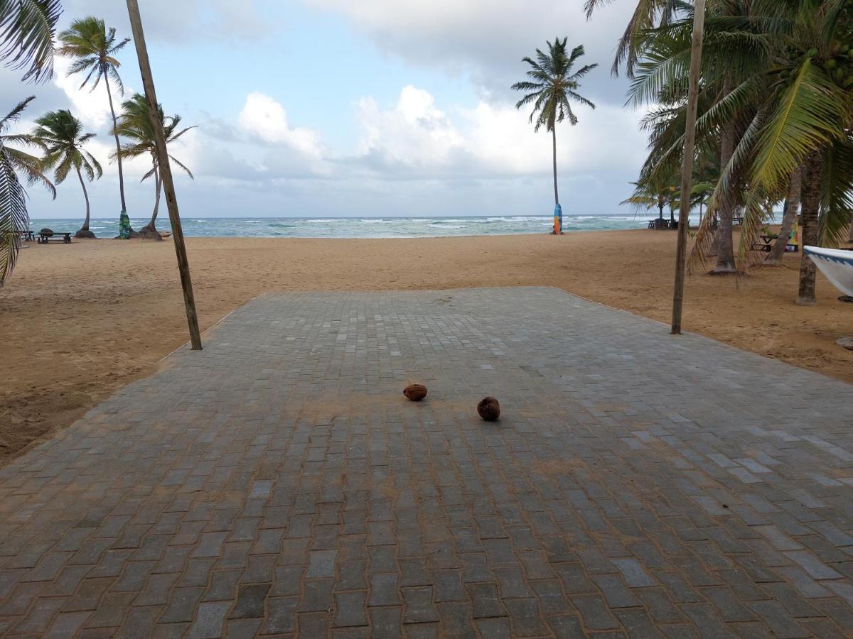 Puntacana Ecolodge Lavacama Beach Costa Arrecife By Aa Crypto Group Punta Cana Zewnętrze zdjęcie