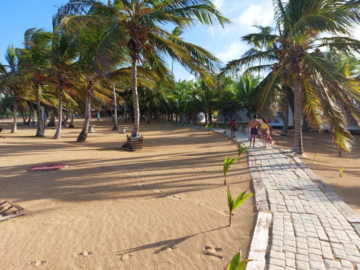 Puntacana Ecolodge Lavacama Beach Costa Arrecife By Aa Crypto Group Punta Cana Zewnętrze zdjęcie