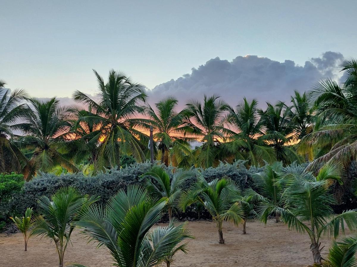 Puntacana Ecolodge Lavacama Beach Costa Arrecife By Aa Crypto Group Punta Cana Zewnętrze zdjęcie