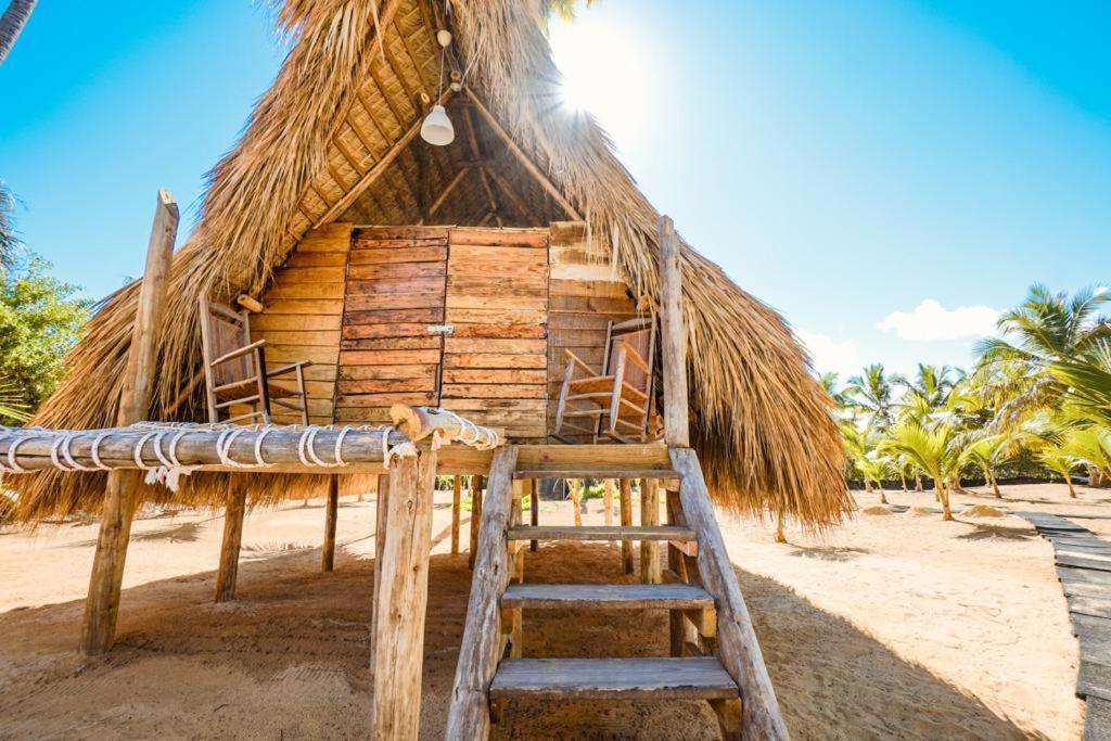 Puntacana Ecolodge Lavacama Beach Costa Arrecife By Aa Crypto Group Punta Cana Zewnętrze zdjęcie