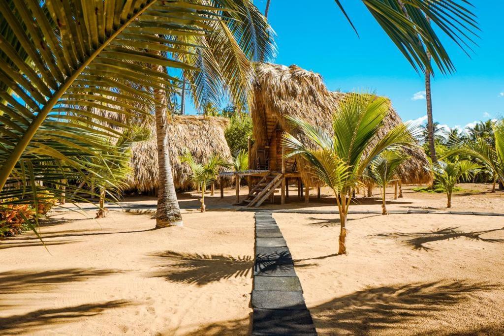 Puntacana Ecolodge Lavacama Beach Costa Arrecife By Aa Crypto Group Punta Cana Zewnętrze zdjęcie